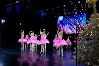 Klasiskā deju studijas "Eleve" 1. grupa